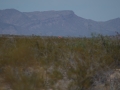 H242